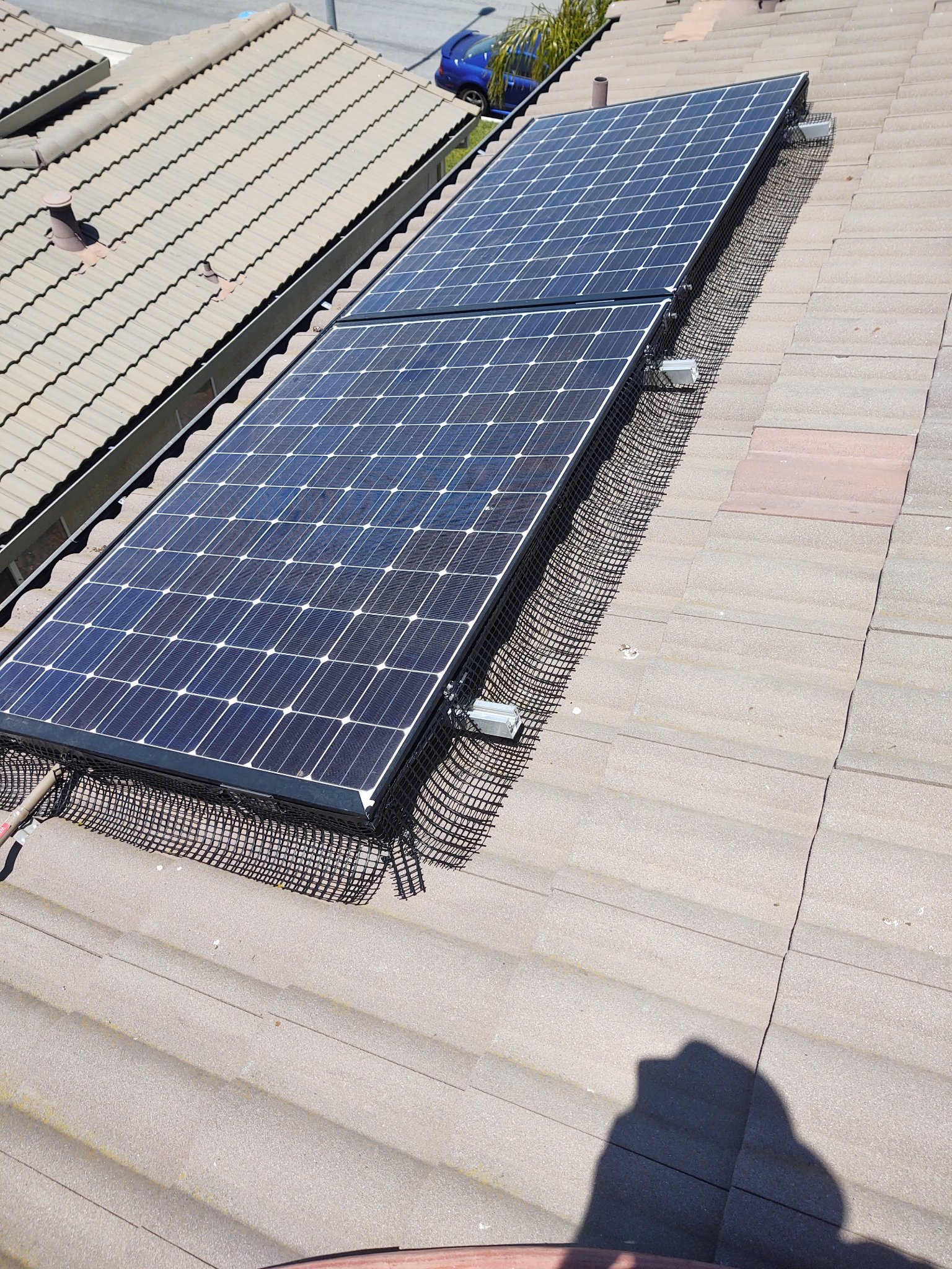 Solar panels with pigeon deterrent mesh installed by California Glass and Solar