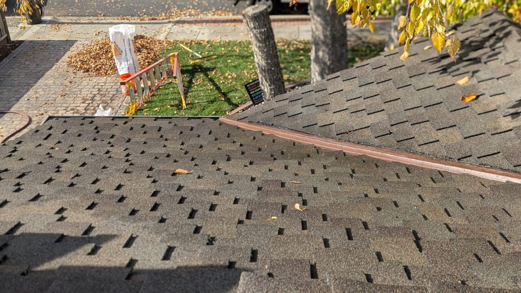 Roof after cleaning, all debris removed