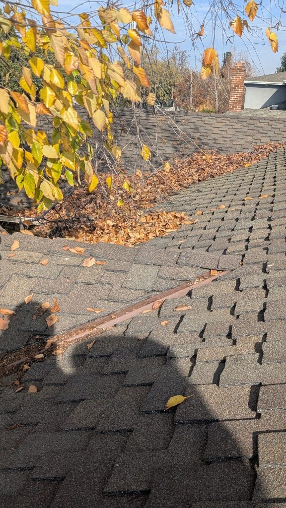 Roof valley packed with leaves and debris before cleaning